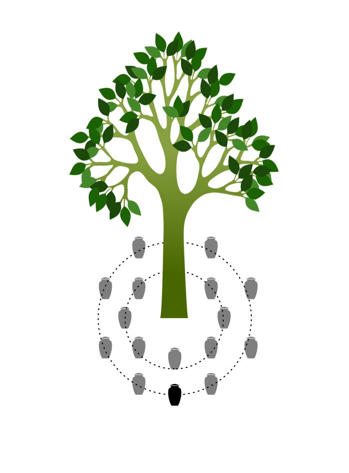 Skovbegravelsespladser