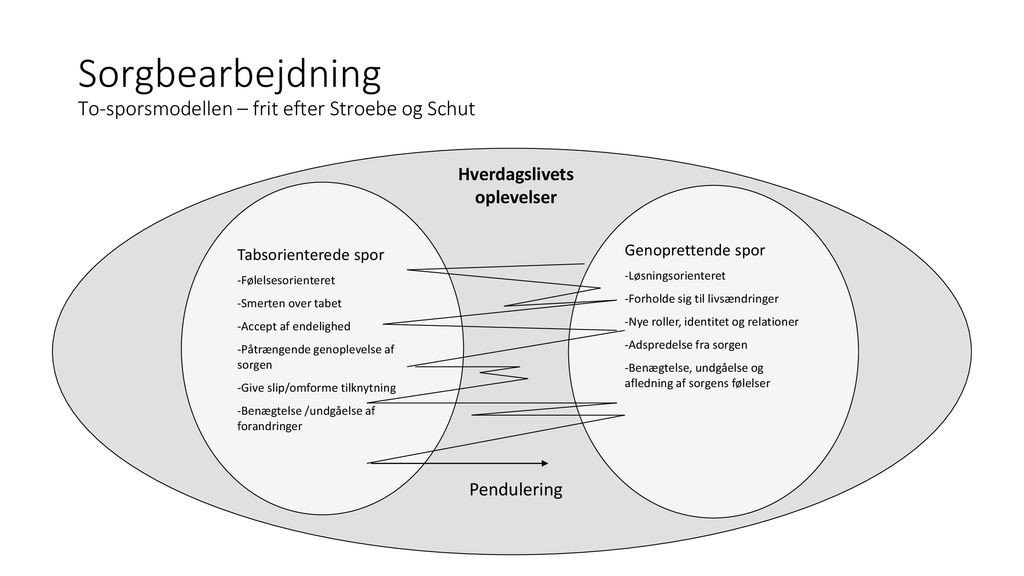 Sorgbearbejdning - to-sporsmodellen